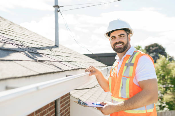 Best Metal Roofing Contractor  in Albion, IL
